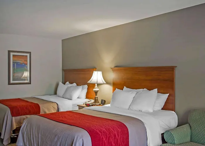 Quality Inn & Suites Germantown North