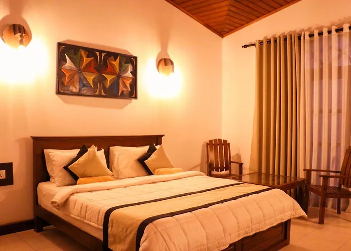 Xotic Resort