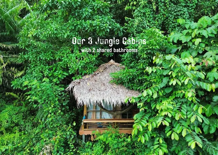 Thejungleguide - Lodges & Treks