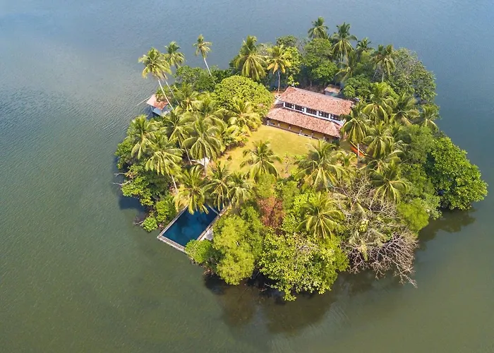 The Island On Bolgoda