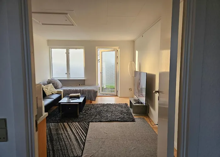 Cozy One Room Apartment