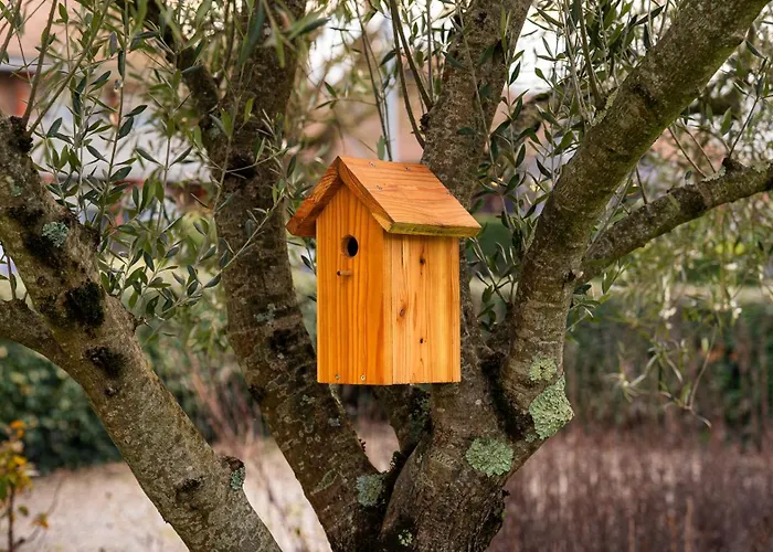 Campanile Nature - Bordeaux Lac