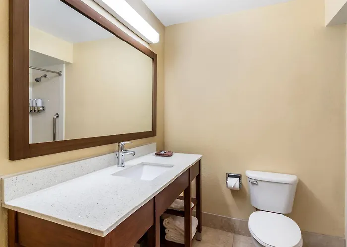 Comfort Suites Bush Intercontinental Airport Houston
