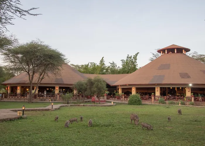 Kilima Safari Camp