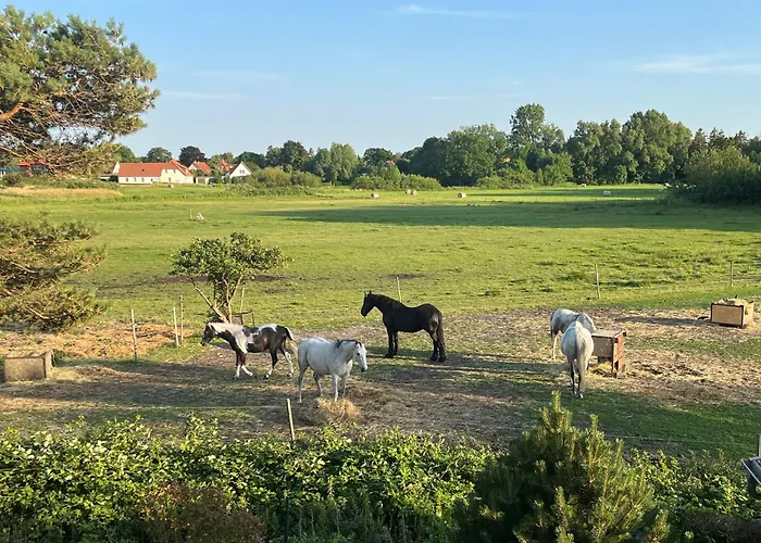 Villa Boddenblick