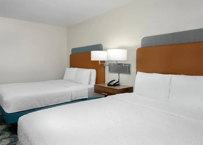 Hampton Inn & Suites Tampa Airport Avion Park Westshore