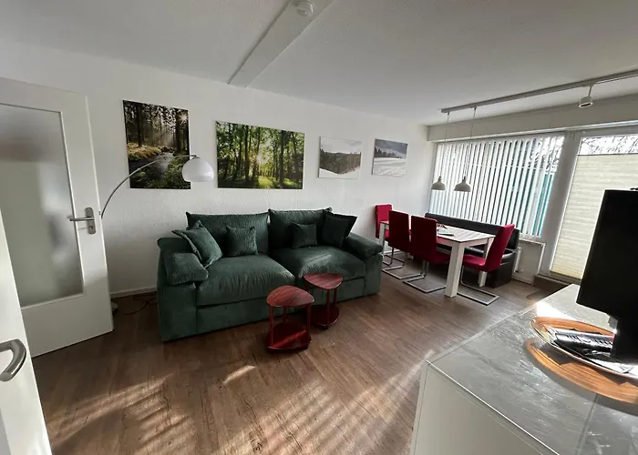 App 613 Panoramic Hohegeiß Terrassenhaus