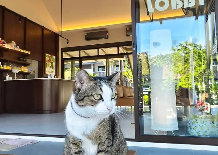 Suansin Garden Hotel โรงแรมสวนสินการ์เด้น