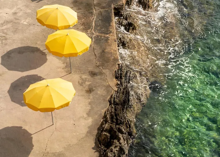 Residence Hoteliere Le Provencal A Giens - Bord De Mer