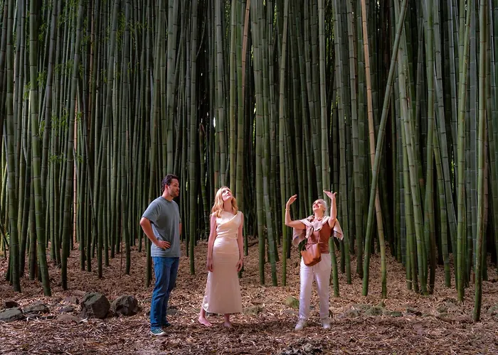 Hana Lodge