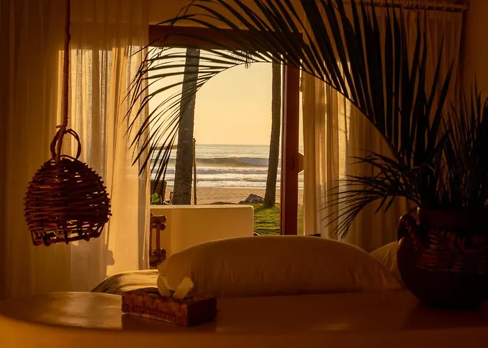 Hotel Pomelo