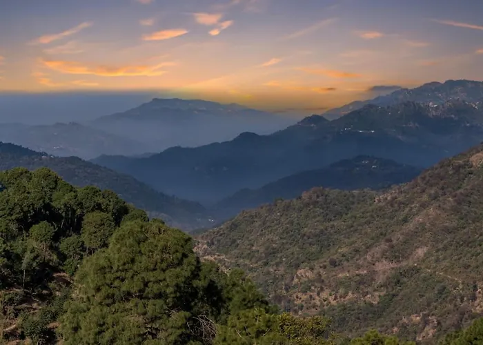 Pine Garden Heera Lodge Kasauli Near Mall Road Operated By Evening Sky