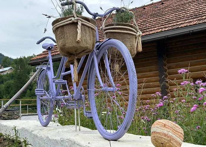 Lavanda Hotel Club