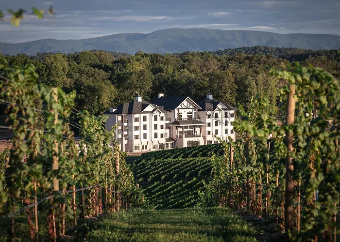 Nicewonder Farm & Vineyards