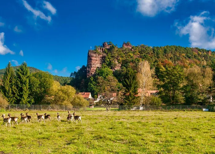 Barbaras Felsenlodge