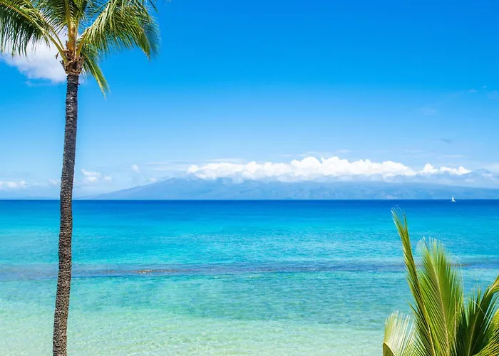 Paki Maui 302A