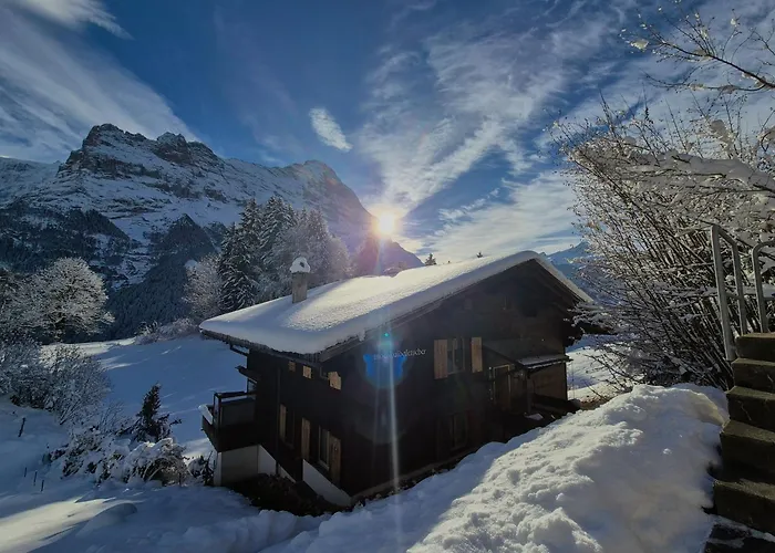 Chalet Grindelwald Gletscher - Boutique Apartment