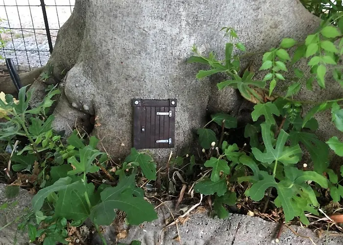 Casa Sivori Sul Lago Di Garda Con Ampio Giardino