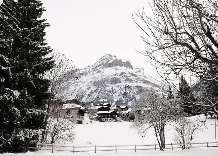 Brand New, 5Min To Ski Paradise !
