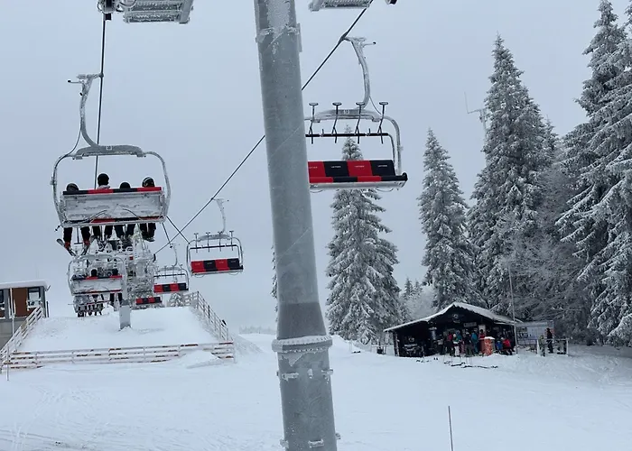 Aotearoa - Mountain apartment in Bavaria, Mitterdorf - Mitterfirmiansreut