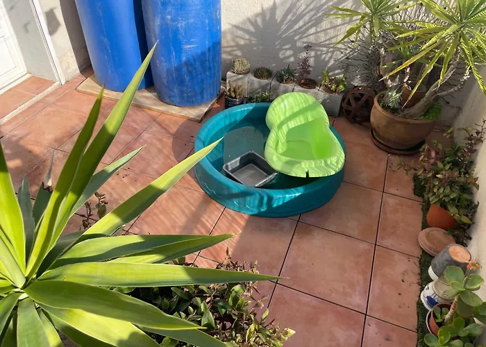 A L'Air Libre, Perche Au Calme Et Au Soleil