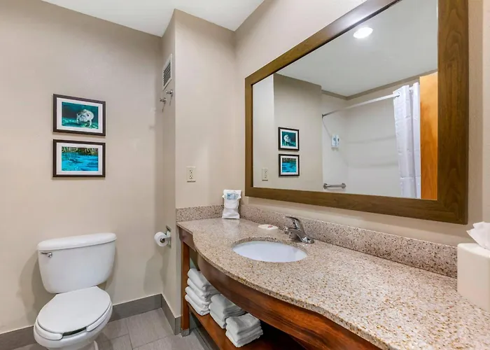 Comfort Inn & Suites Wildwood - The Villages