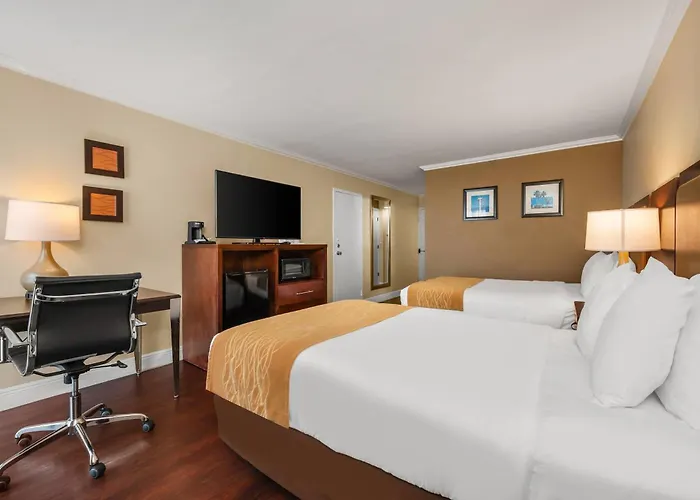 Comfort Inn Oceanside Deerfield Beach