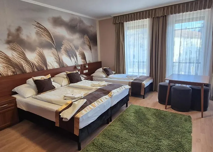 Hotel Patonai
