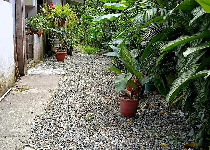 Casa Victoria Pijao