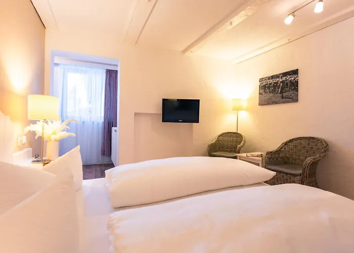 Burghotel Bären
