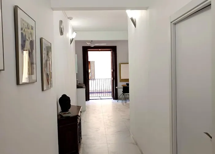 City Haven Palma