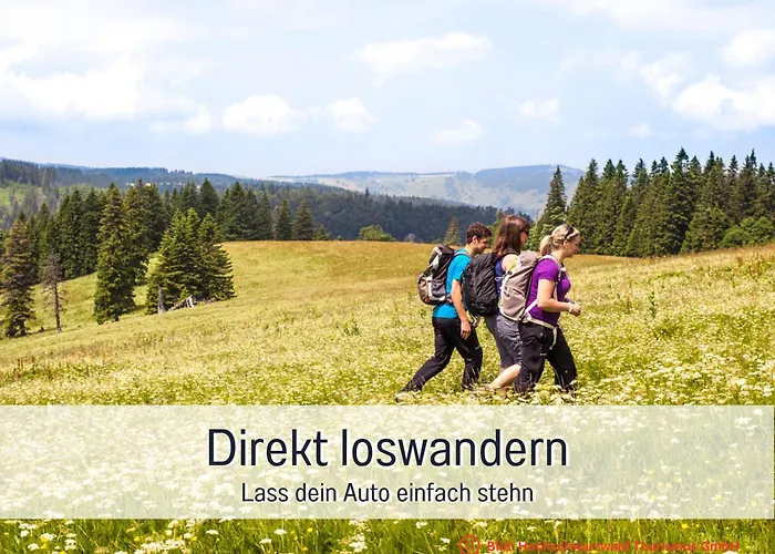 Fewo Herzgrün direkt an Wanderwegen mit traumhafter Aussicht Sauna E-Ladestation