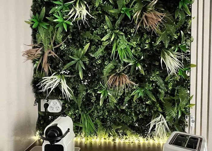 Le Palmae, Cocon Chic & Vegetal Au Coeur De Hyeres