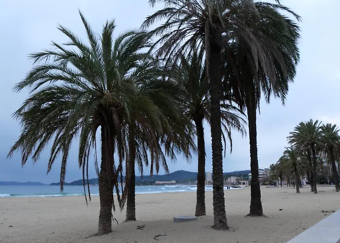 Entre Mer Et Collines Appartement T2