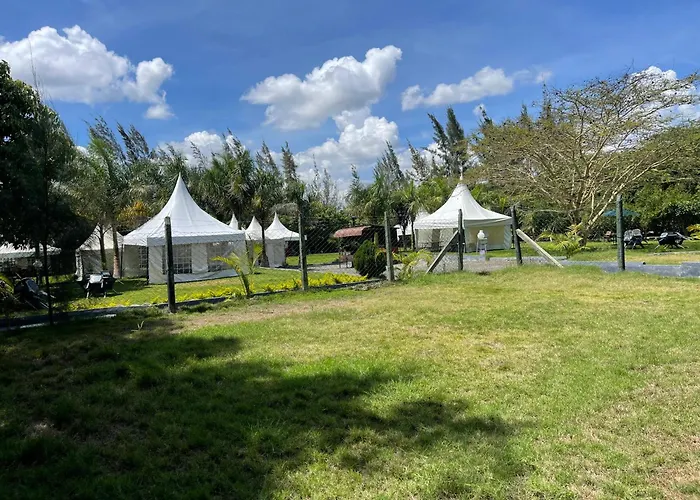 Kinga Resort