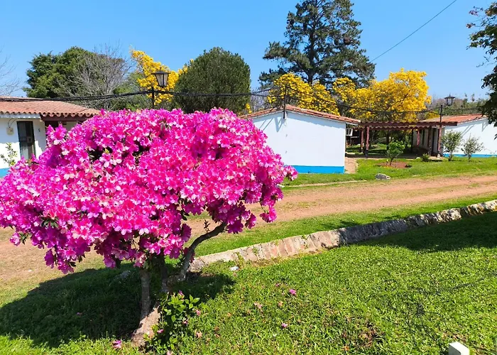 Paraiso Yapeyù