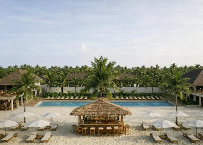 Kappa Senses Zanzibar