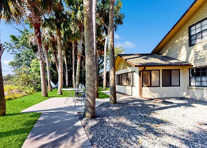 Port Orange Palm Tree Reverie