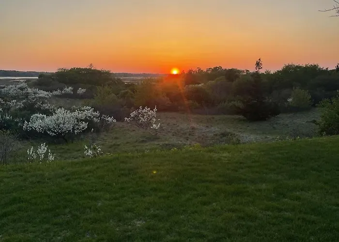 Dog-Friendly Cottage With Backyard & Beach Vibes!