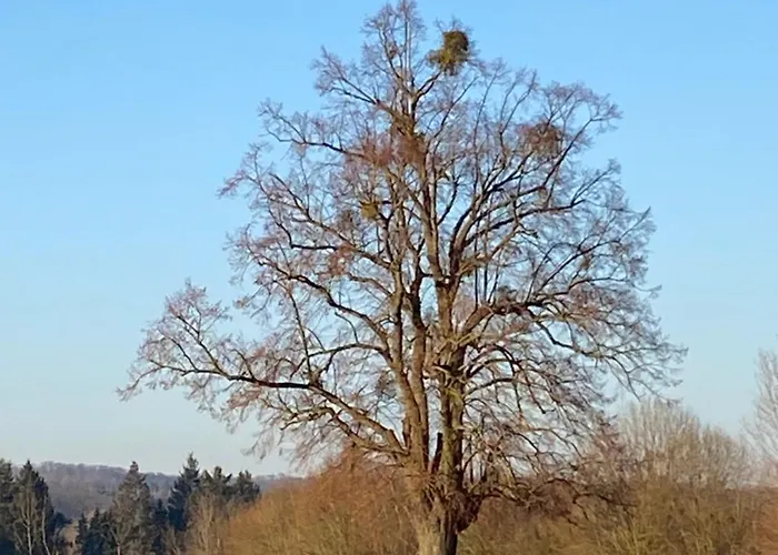 Kleine Auszeit