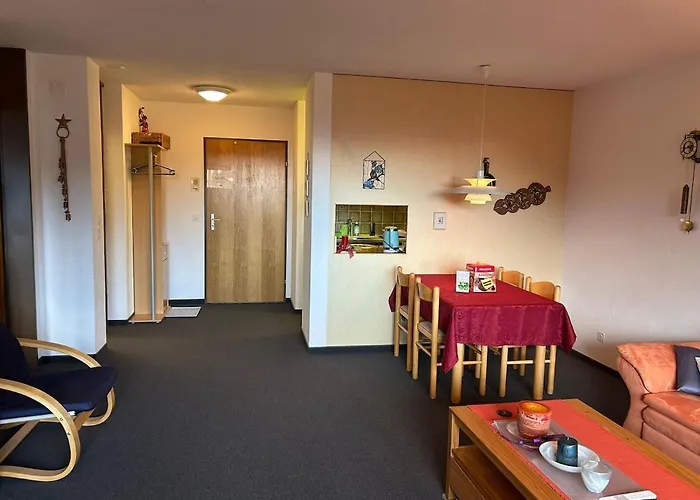 Disentis-Mustér Ski Apartment