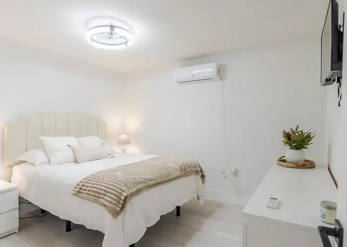 Florida Paradyse Ll 5 Min Downtown Cozy Modern