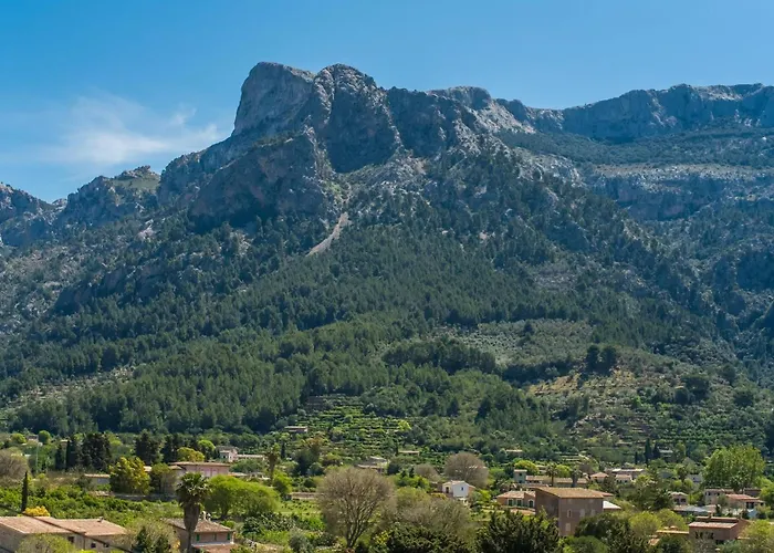 Arbona Soller