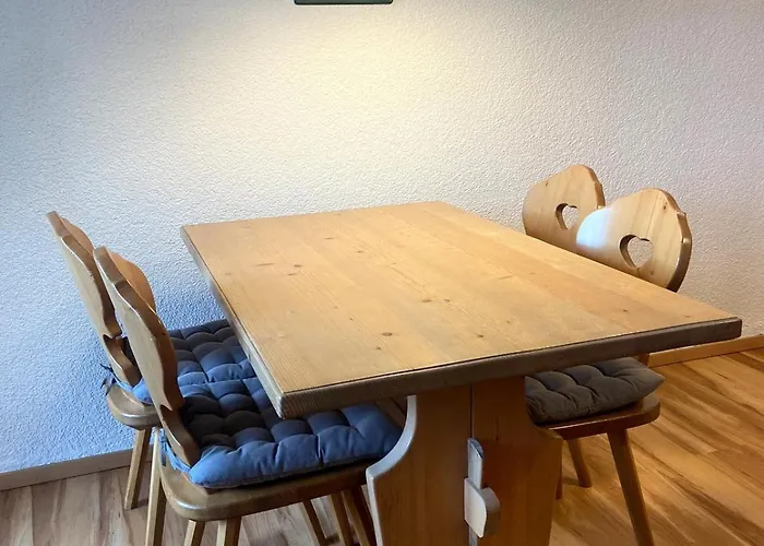 Ferienwohnung 1 - Residenz Schauinsland im Wanderparadies an Skilift&Loipe Panoramablick, Sauna im Haus
