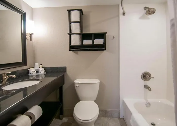 1Br 1B King Bed Apartment W Kitchen 234