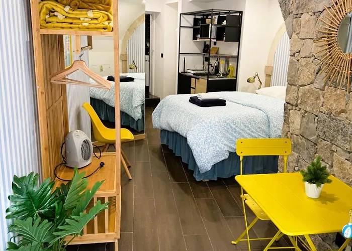 Art Apartments Leiria Historic House