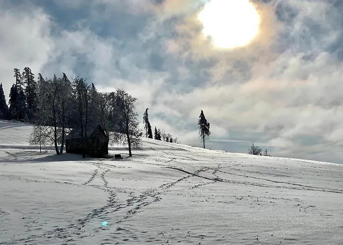 Rennsteig-Pension Trautwein