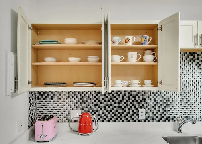 Entire Renovated One-Bedroom Apartment