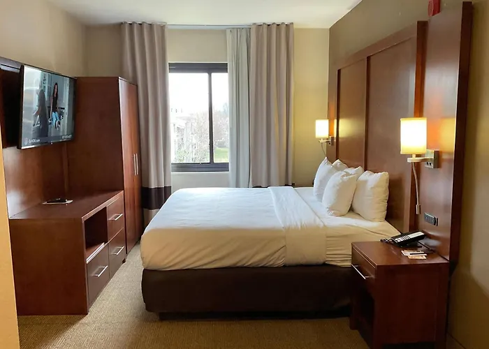 Comfort Suites Dover University Area