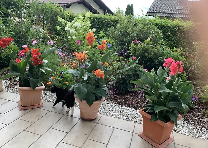 Ferienwohnungen Kasparbauer